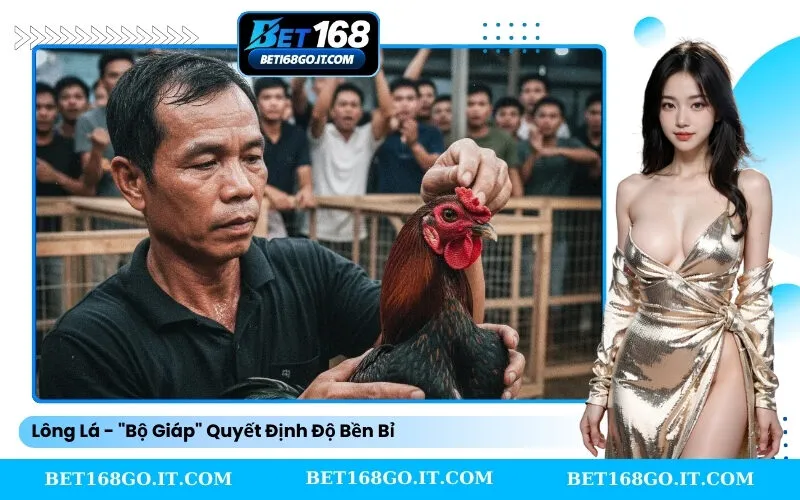Lông Lá - Bộ Giáp Quyết Định Độ Bền Bỉ